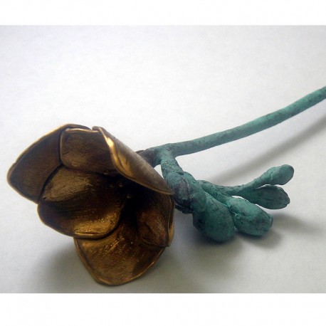 Freesie, Bronze