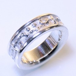 Zechenring, 925- Silber, klein